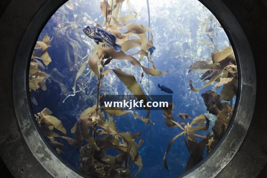 火狐电竞 选手数据榜单怎么读：火狐电竞赛事专题的赛后回看与轮次复盘指南